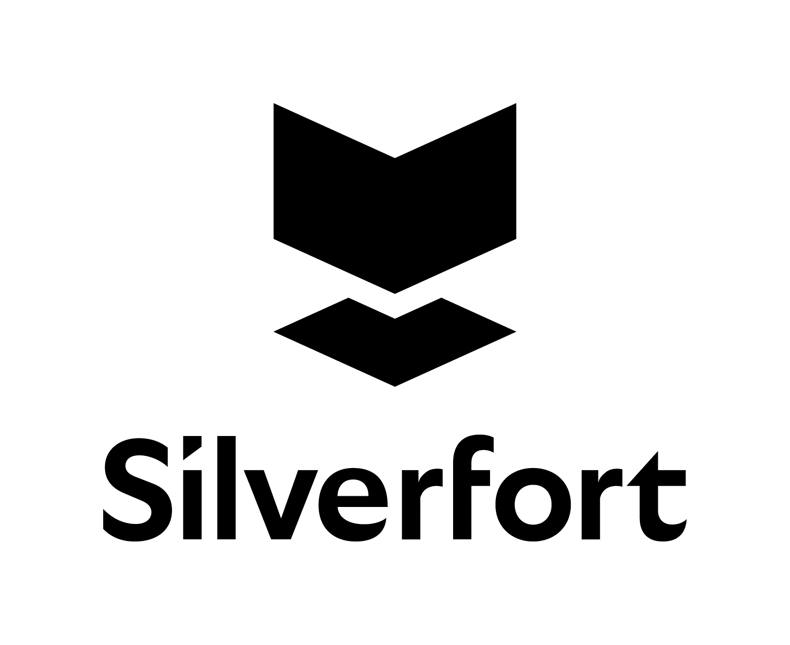 Silverfort Image