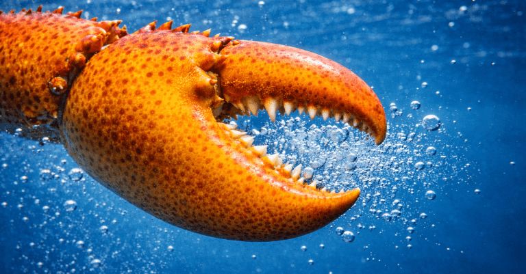Clawdbot_blog_1200x628_2